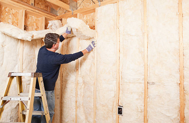 Reliable Sioux City, IA Insulation Removal & Installation Solutions